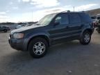 2004 Ford Escape XLT