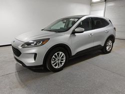 Ford Escape se salvage cars for sale: 2020 Ford Escape SE