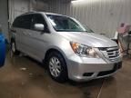 2008 Honda Odyssey EX