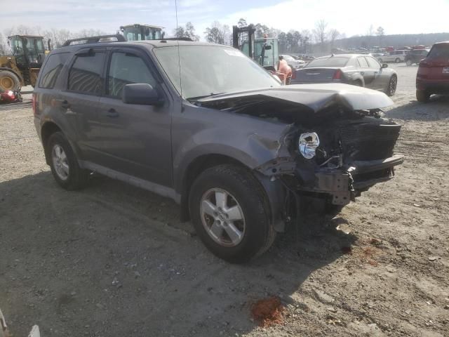 2009 Ford Escape XLT