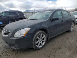 2007 Nissan Maxima SE en venta en Magna, UT