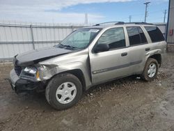 Salvage cars for sale at Appleton, WI auction: 2003 Chevrolet Trailblazer