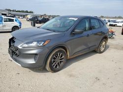 Salvage cars for sale at Harleyville, SC auction: 2021 Ford Escape S