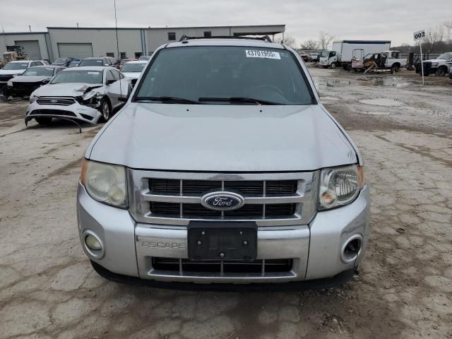 2010 Ford Escape Limited