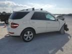 2009 Mercedes-Benz ML 350