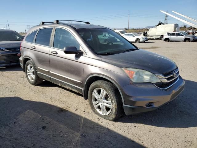 2010 Honda CR-V EXL