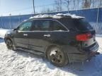 2010 Acura MDX Advance