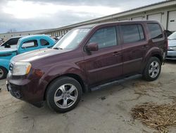 Salvage cars for sale at Louisville, KY auction: 2012 Honda Pilot EXL