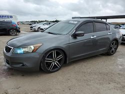 Salvage cars for sale at West Palm Beach, FL auction: 2008 Honda Accord EX