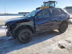 Salvage cars for sale at Nisku, AB auction: 2023 Toyota Rav4 Limited