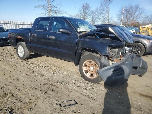 2008 Dodge Dakota SXT