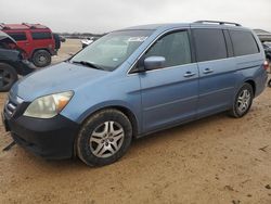 Salvage cars for sale at San Antonio, TX auction: 2006 Honda Odyssey EX