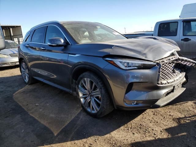 2020 Infiniti QX50 Pure