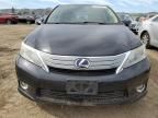 2010 Lexus HS 250H