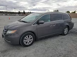 Salvage cars for sale at auction: 2015 Honda Odyssey EX