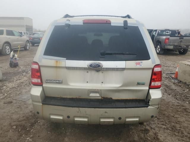 2011 Ford Escape Limited