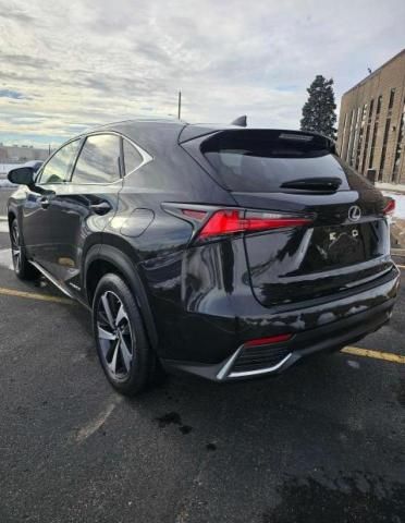 2020 Lexus NX 300H