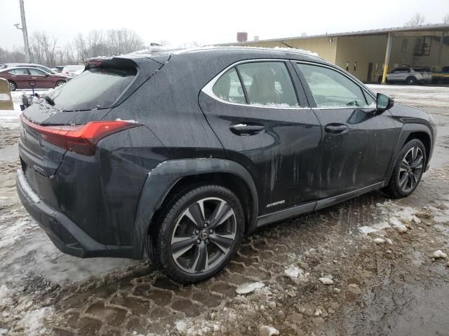 2019 Lexus UX 250H