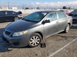 Toyota Corolla salvage cars for sale: 2009 Toyota Corolla Base