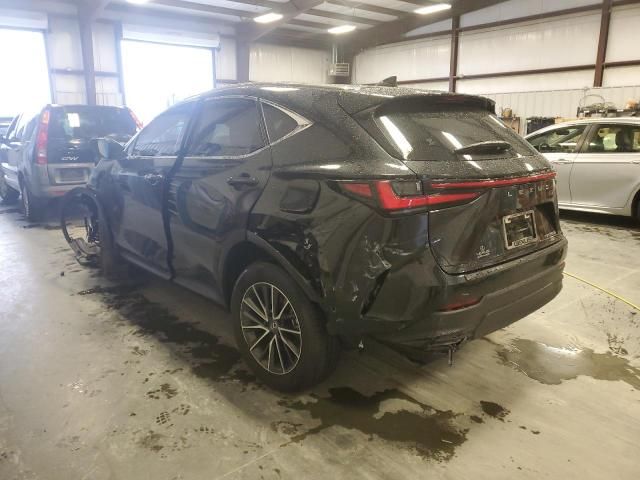 2024 Lexus NX 350H Base