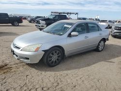 Salvage cars for sale at Amarillo, TX auction: 2007 Honda Accord EX