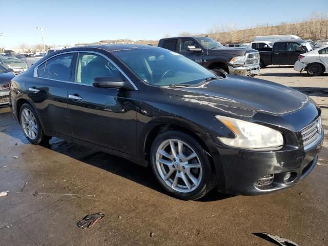 2010 Nissan Maxima S