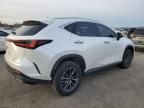 2024 Lexus NX 350H Base