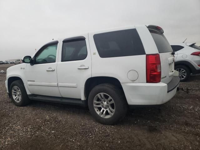 2009 Chevrolet Tahoe Hybrid