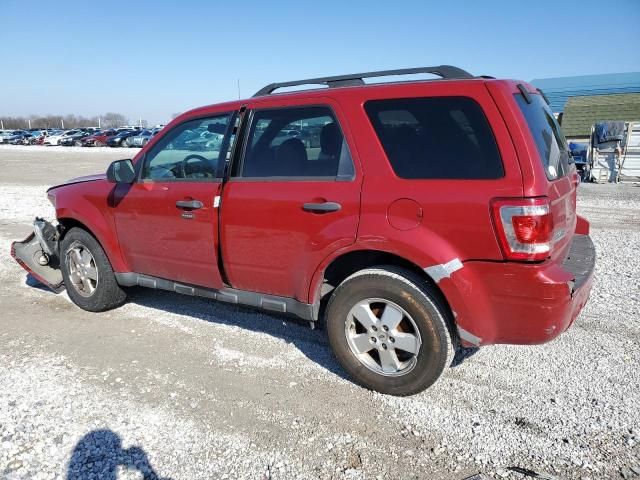 2011 Ford Escape XLT