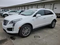 Salvage cars for sale at Louisville, KY auction: 2017 Cadillac XT5 Luxury