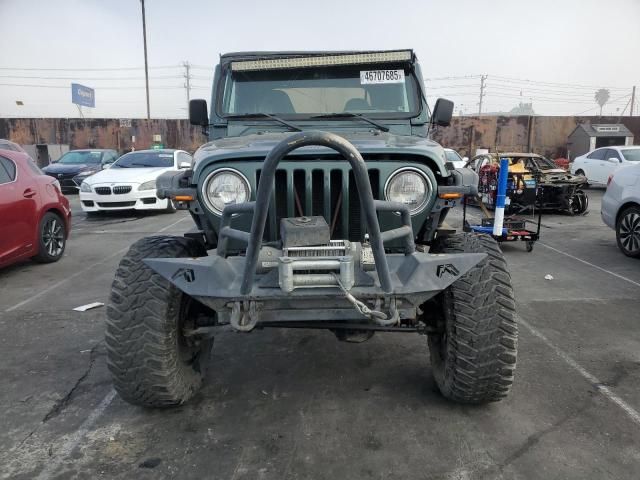 2002 Jeep Wrangler / TJ Sahara