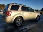 2010 Ford Escape Limited