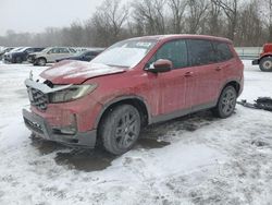 2023 Honda Passport EXL en venta en Ellwood City, PA