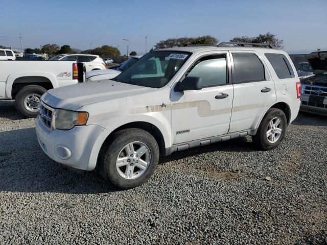 2008 Ford Escape HEV