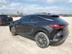 2024 Lexus RX 350 Base