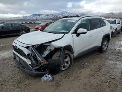 Salvage cars for sale at Magna, UT auction: 2019 Toyota Rav4 XLE