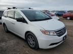 2013 Honda Odyssey EXL