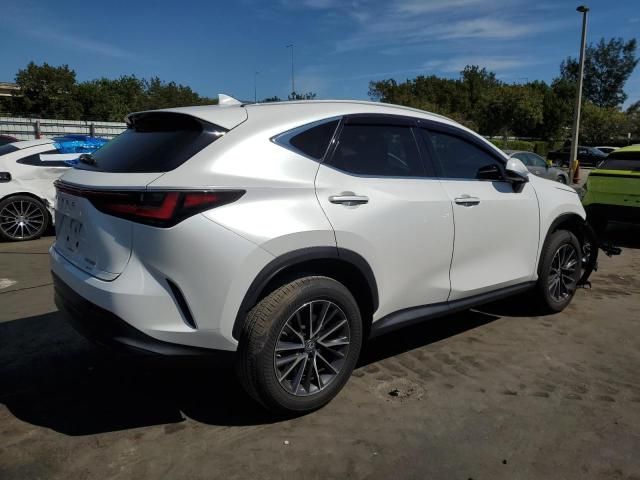 2022 Lexus NX 350