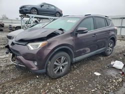 Toyota rav4 xle salvage cars for sale: 2016 Toyota Rav4 XLE