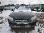 2007 Hyundai Santa FE GLS