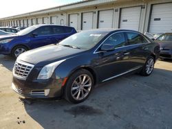 Salvage cars for sale at Louisville, KY auction: 2013 Cadillac XTS Luxury Collection