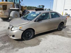 Toyota Corolla salvage cars for sale: 2010 Toyota Corolla Base