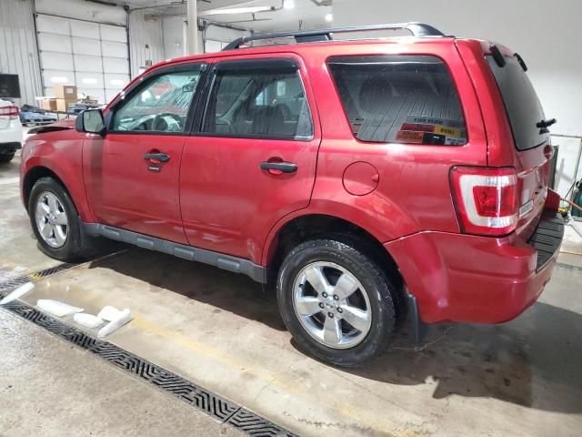 2012 Ford Escape XLT