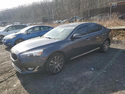 KIA Cadenza Vehiculos salvage en venta: 2015 KIA Cadenza Premium