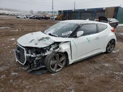 Hyundai Veloster salvage cars for sale: 2014 Hyundai Veloster Turbo