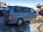 2010 Honda Odyssey EXL