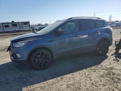 Salvage cars for sale at Eugene, OR auction: 2018 Ford Escape SE