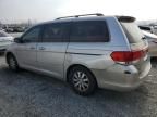 2008 Honda Odyssey EXL