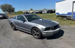 Salvage cars for sale at Apopka, FL auction: 2007 Ford Mustang