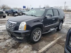 SUV salvage a la venta en subasta: 2014 Cadillac Escalade Luxury